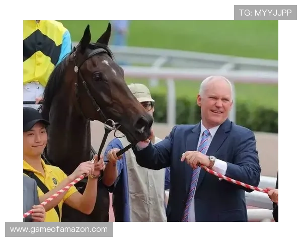 华体会滚球盘优惠活动频繁吸引新老用户持续参与赛事投注