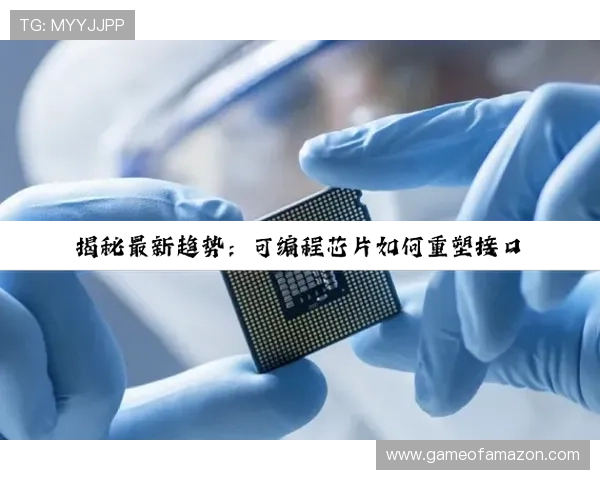 尊龙凯时z6最新版本下载指南帮助玩家轻松获取稳定安全的游戏体验