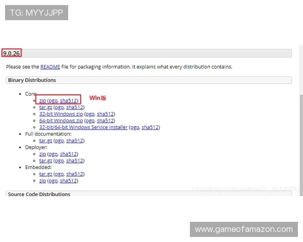 江南体育网页版登录步骤详解及常见问题解决方案全面指导
